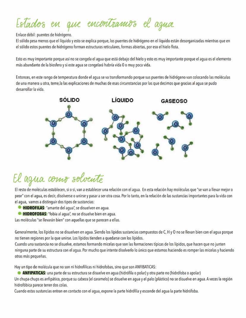TEMA 1
Biomoleculas, constituyentes y nutrientes
TODOS LOS ORGANISMOS NECESITAN UN SUMINISTRO DE ENERGÍA Y DE MATERIALES
Los elementos de la