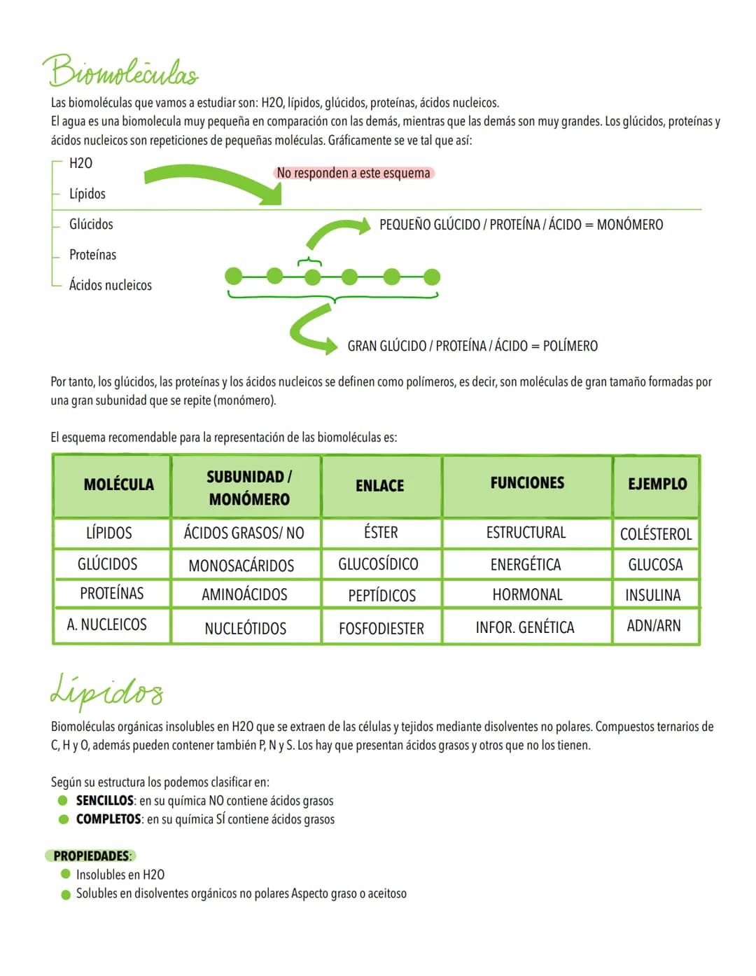 TEMA 1
Biomoleculas, constituyentes y nutrientes
TODOS LOS ORGANISMOS NECESITAN UN SUMINISTRO DE ENERGÍA Y DE MATERIALES
Los elementos de la