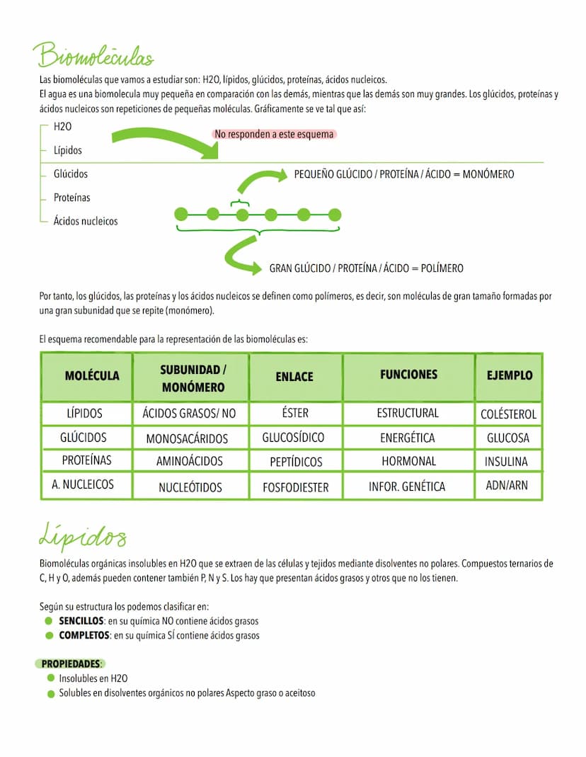 TEMA 1
Biomoleculas, constituyentes y nutrientes
TODOS LOS ORGANISMOS NECESITAN UN SUMINISTRO DE ENERGÍA Y DE MATERIALES
Los elementos de la