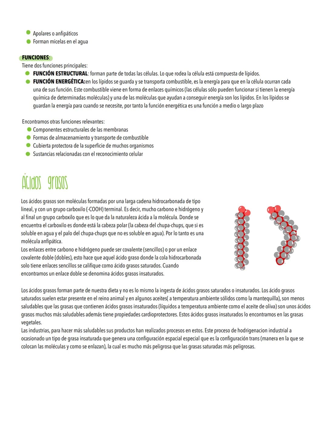TEMA 1
Biomoleculas, constituyentes y nutrientes
TODOS LOS ORGANISMOS NECESITAN UN SUMINISTRO DE ENERGÍA Y DE MATERIALES
Los elementos de la