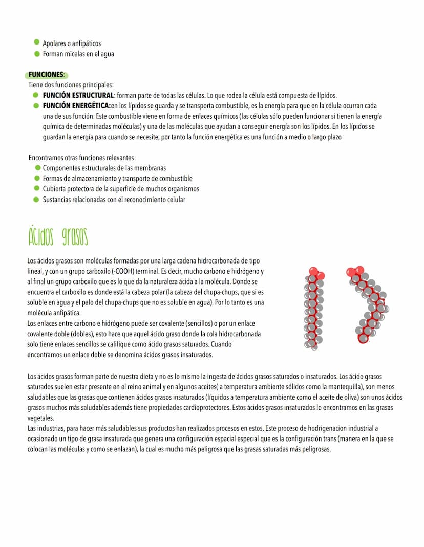 TEMA 1
Biomoleculas, constituyentes y nutrientes
TODOS LOS ORGANISMOS NECESITAN UN SUMINISTRO DE ENERGÍA Y DE MATERIALES
Los elementos de la