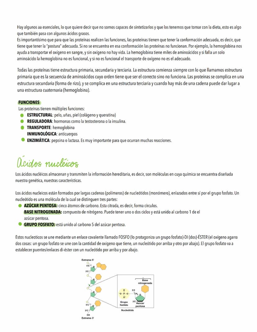 TEMA 1
Biomoleculas, constituyentes y nutrientes
TODOS LOS ORGANISMOS NECESITAN UN SUMINISTRO DE ENERGÍA Y DE MATERIALES
Los elementos de la