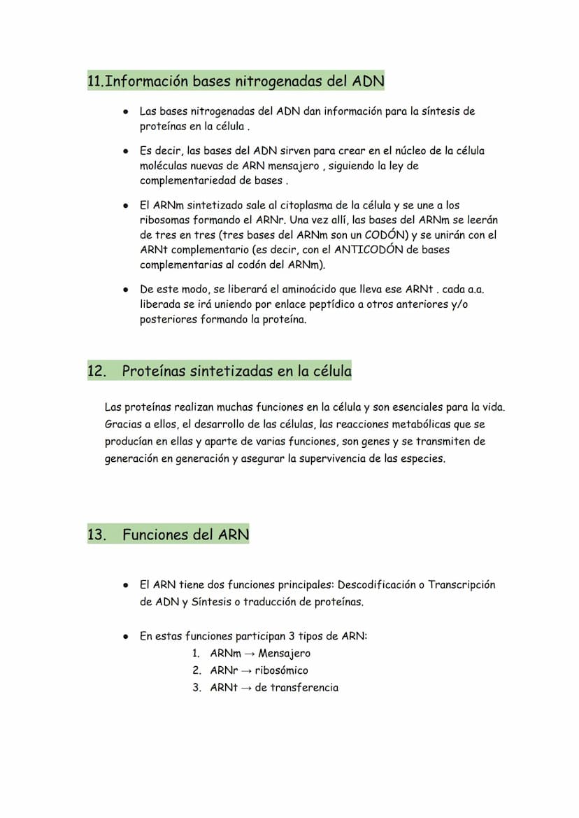 → Son moléculas orgánicas
→ Son el ADN y el ARN
→ Su unidad básica o monómero es el NUCLEOTIDO
Representación gráfica de un nucleótido
BASE 