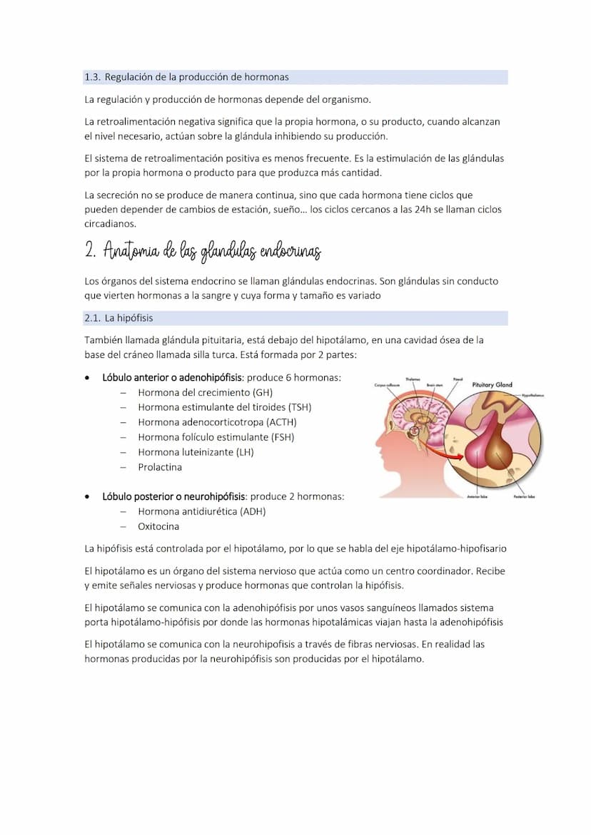TEMA 9: el sistema endocrino
1. El sistema endocrino
El sistema endocrino y el sistema nervioso componen los sistemas de coordinación.
El si