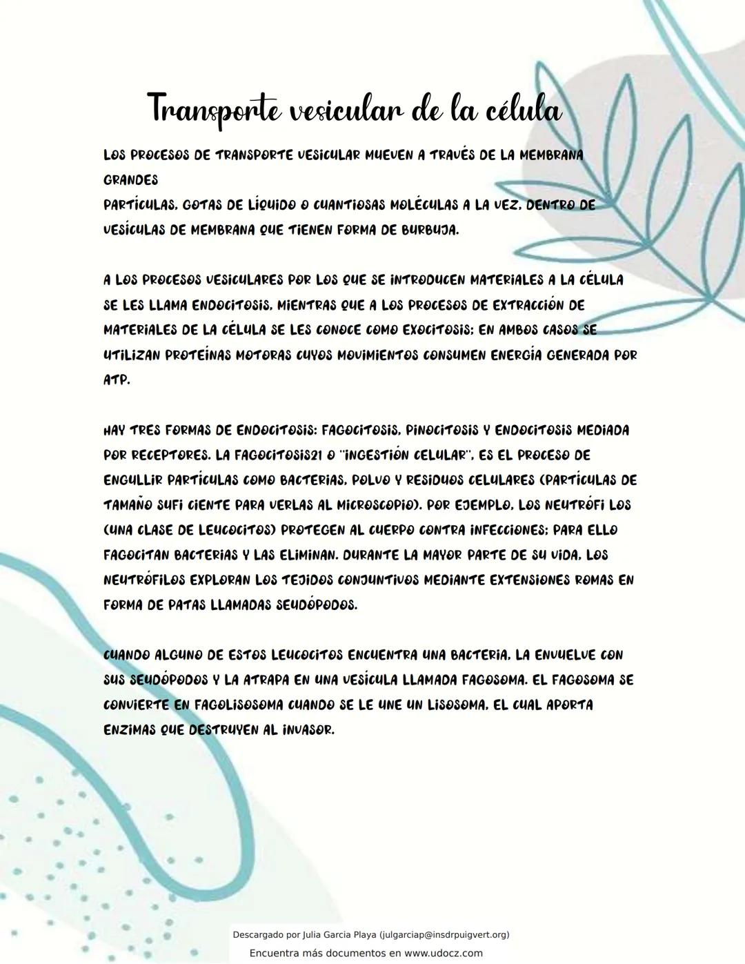 Transporte vesicular de la célula
LOS PROCESOS DE TRANSPORTE VESICULAR MUEVEN A TRAVÉS DE LA MEMBRANA
GRANDES
PARTICULAS, GOTAS DE LIQUIDO O
