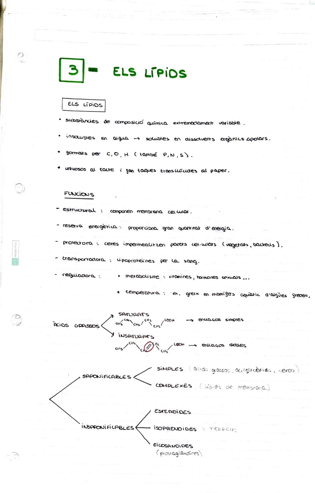 # 3 - ELS LÍPIOS

ELS LIPIOS

*   substàncies de composició química extremadament variable.

*   insolubles en aigua → solubles en dissolven