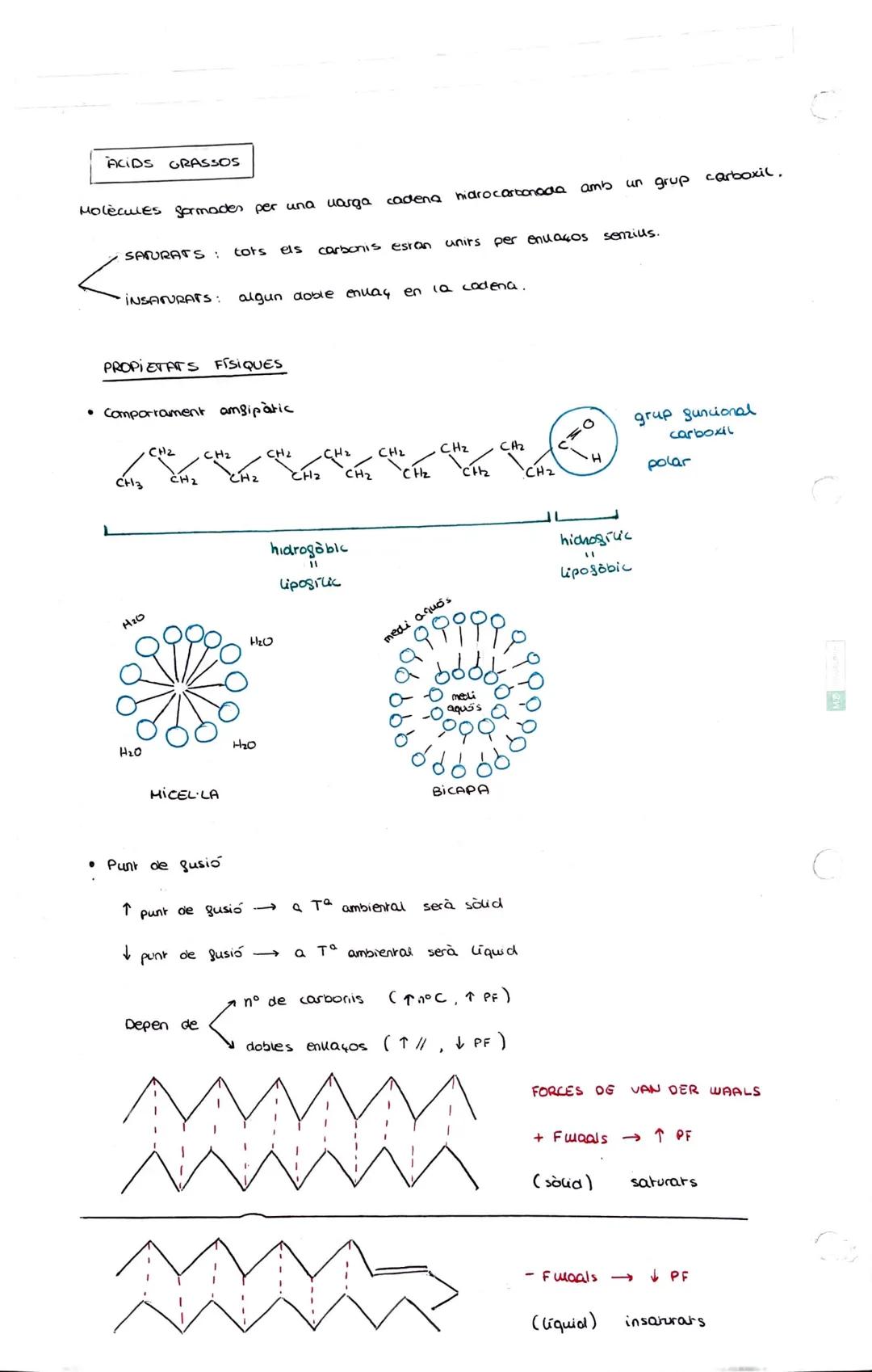 # 3 - ELS LÍPIOS

ELS LIPIOS

*   substàncies de composició química extremadament variable.

*   insolubles en aigua → solubles en dissolven