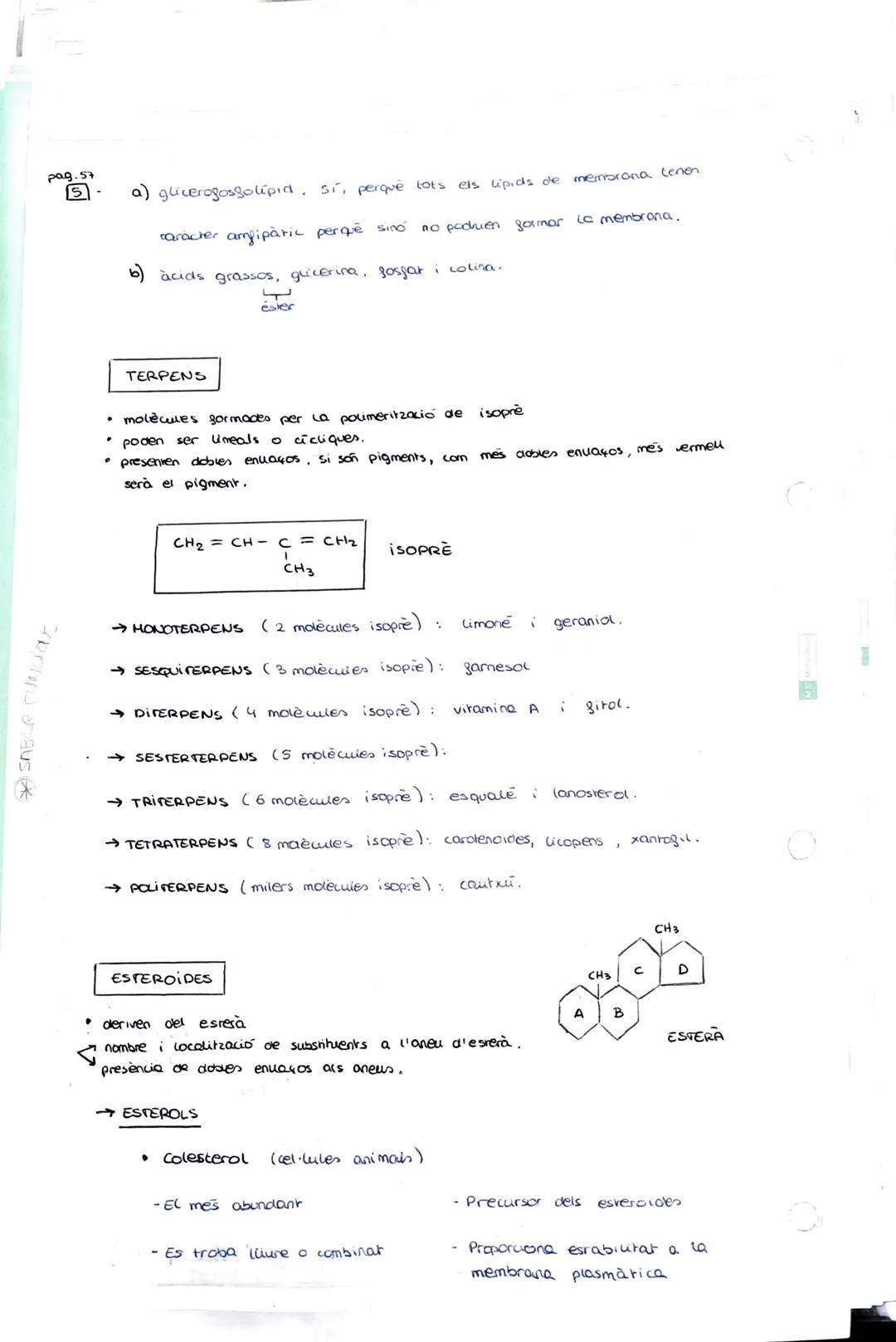 # 3 - ELS LÍPIOS

ELS LIPIOS

*   substàncies de composició química extremadament variable.

*   insolubles en aigua → solubles en dissolven