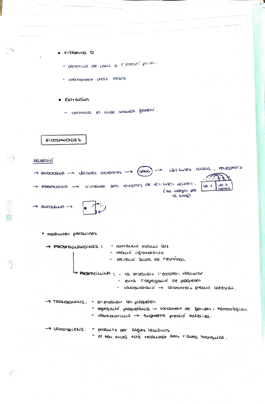 # 3 - ELS LÍPIOS

ELS LIPIOS

*   substàncies de composició química extremadament variable.

*   insolubles en aigua → solubles en dissolven