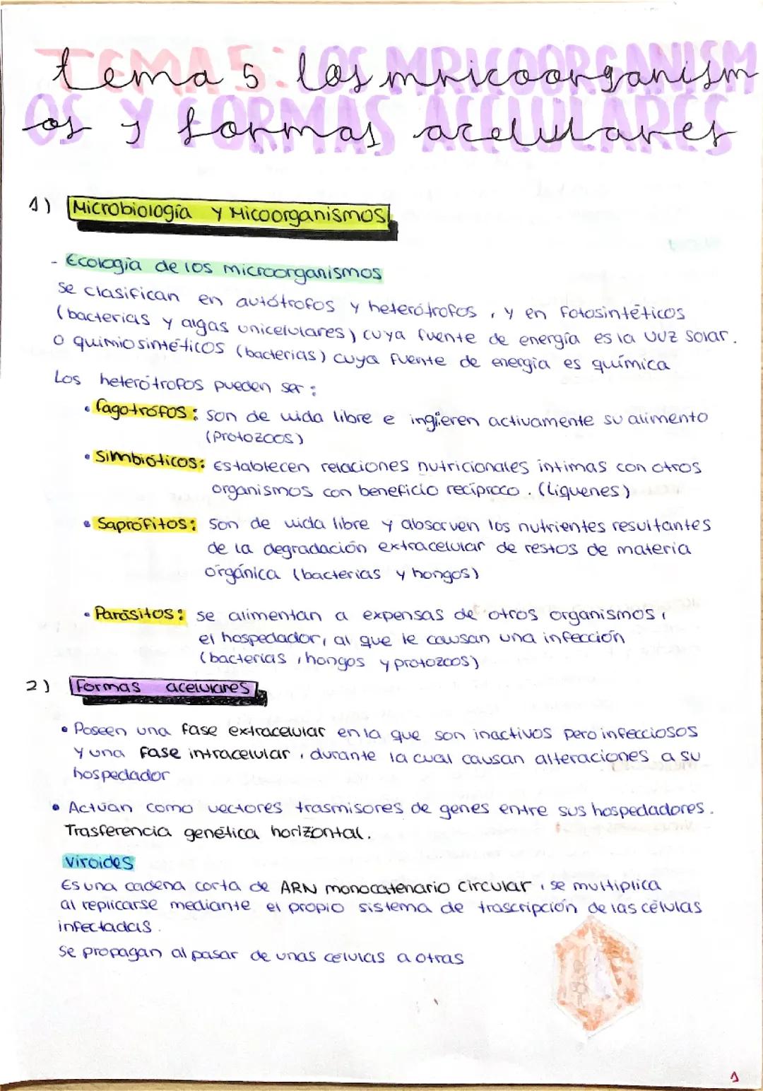 Explora los Microorganismos y Formas Acelulares