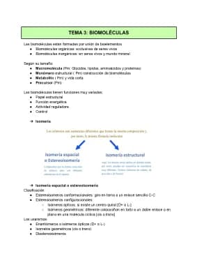 Know APUNTES DE BIOMOLÉCULAS BIOLOGÍA thumbnail