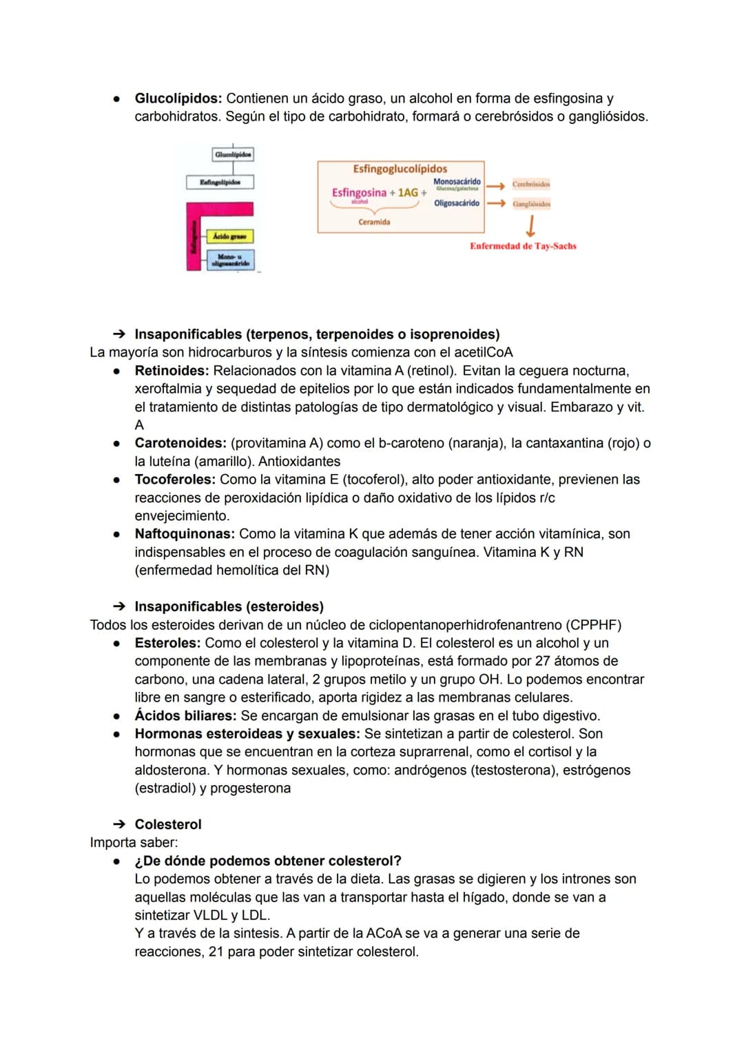 TEMA 3: BIOMOLÉCULAS
Las biomoléculas están formadas por unión de bioelementos
Biomoléculas orgánicas: exclusivas de seres vivos
● Biomolécu