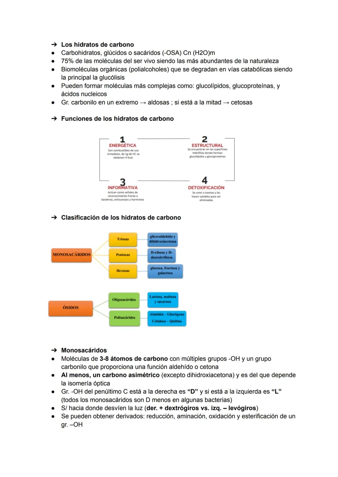 TEMA 3: BIOMOLÉCULAS
Las biomoléculas están formadas por unión de bioelementos
Biomoléculas orgánicas: exclusivas de seres vivos
● Biomolécu