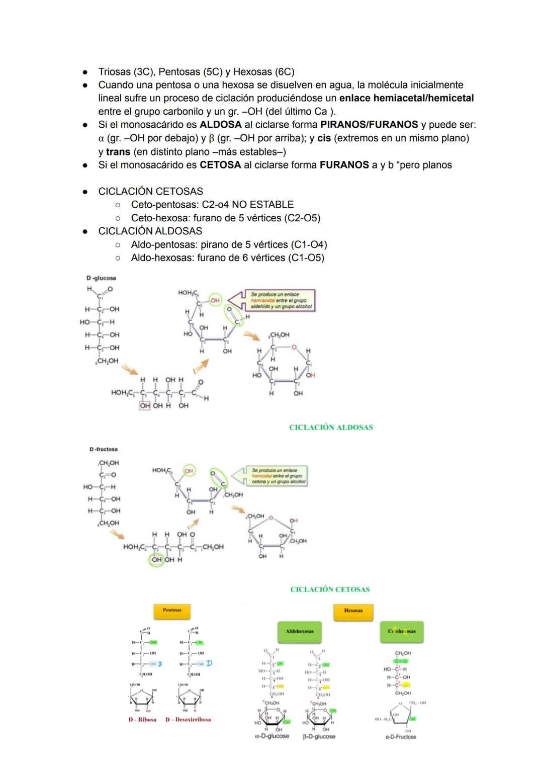 TEMA 3: BIOMOLÉCULAS
Las biomoléculas están formadas por unión de bioelementos
Biomoléculas orgánicas: exclusivas de seres vivos
● Biomolécu