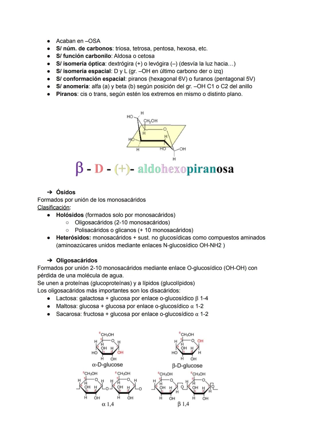TEMA 3: BIOMOLÉCULAS
Las biomoléculas están formadas por unión de bioelementos
Biomoléculas orgánicas: exclusivas de seres vivos
● Biomolécu