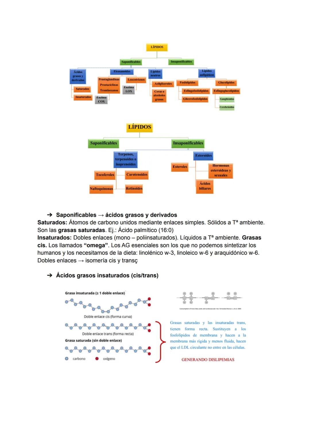 TEMA 3: BIOMOLÉCULAS
Las biomoléculas están formadas por unión de bioelementos
Biomoléculas orgánicas: exclusivas de seres vivos
● Biomolécu