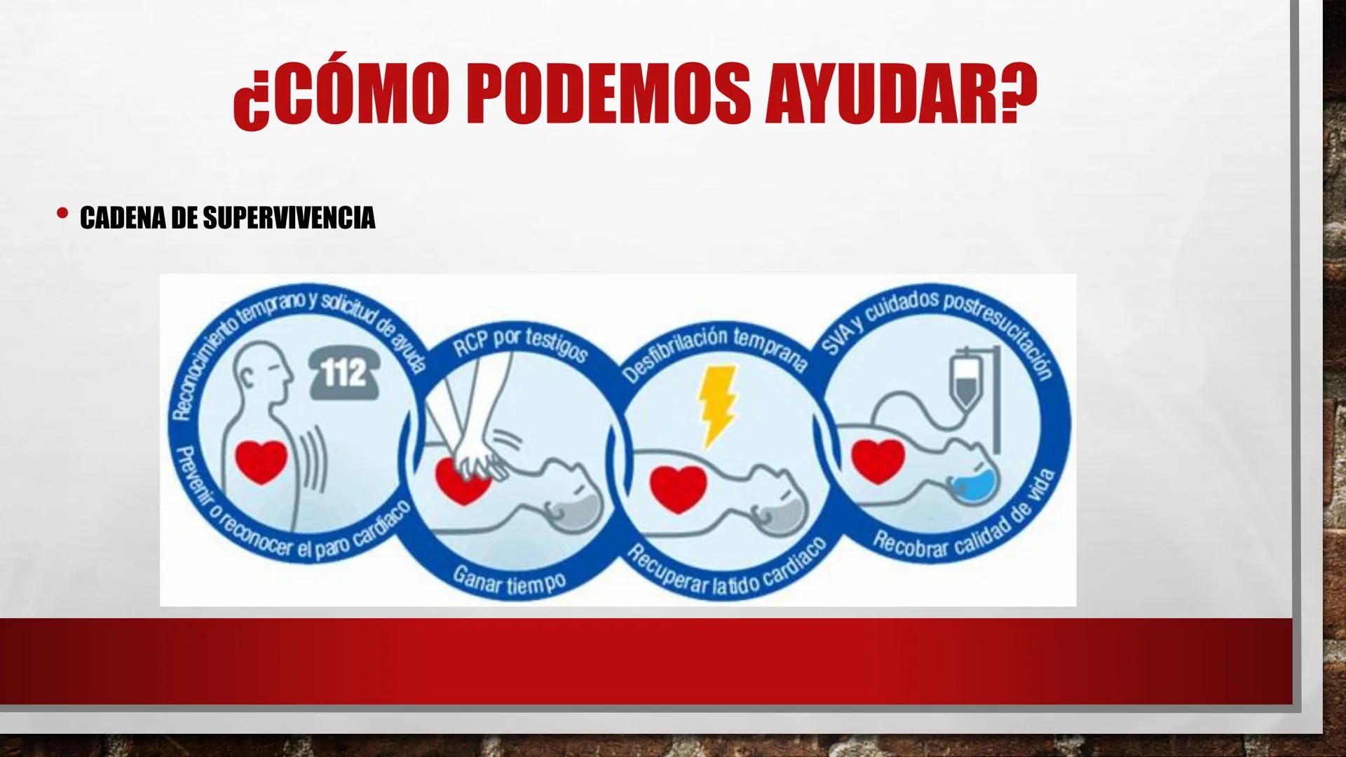 LOS PRIMEROS AUXILIOS
EDUCACIÓN FÍSICA
ANDREA MARTÍN ÍNDICE
• DEFINICIÓN DE PRIMEROS AUXILIOS Y SIGLAS P.A.S.
DEFINICIÓN DE PARADA RESPIRATO