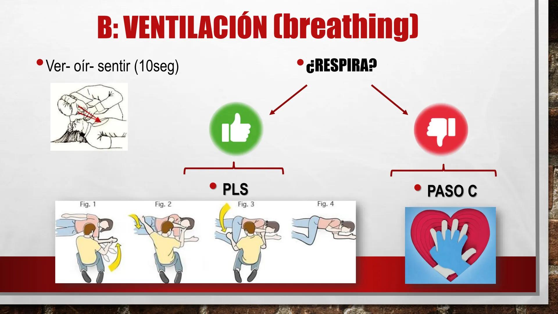 LOS PRIMEROS AUXILIOS
EDUCACIÓN FÍSICA
ANDREA MARTÍN ÍNDICE
• DEFINICIÓN DE PRIMEROS AUXILIOS Y SIGLAS P.A.S.
DEFINICIÓN DE PARADA RESPIRATO