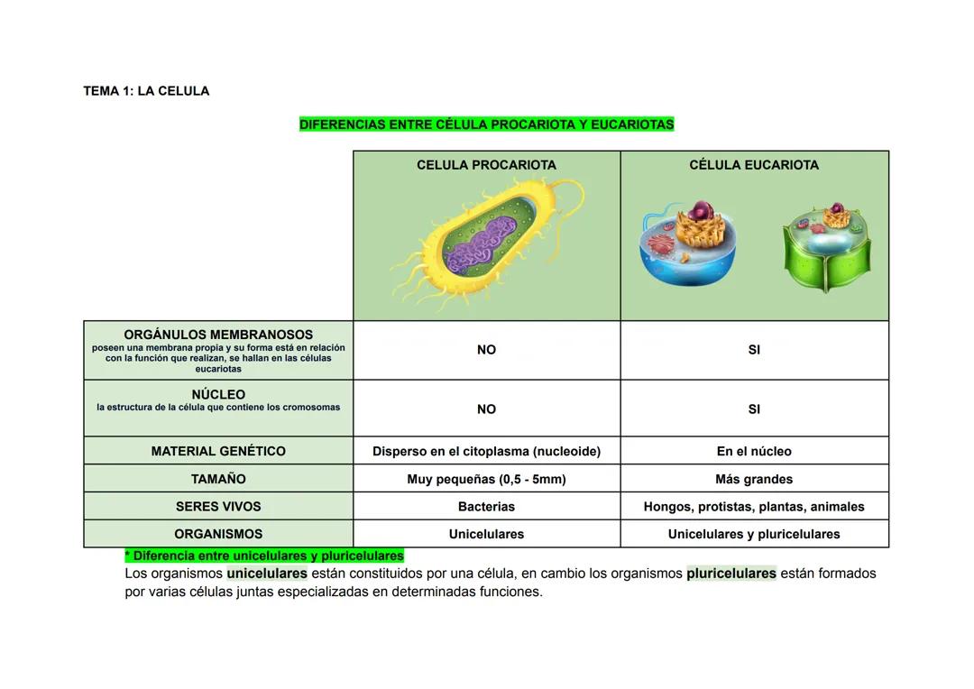 DIFERENCIAS ENTRE CÉLULA PROCARIOTA E EUCARIOTAS