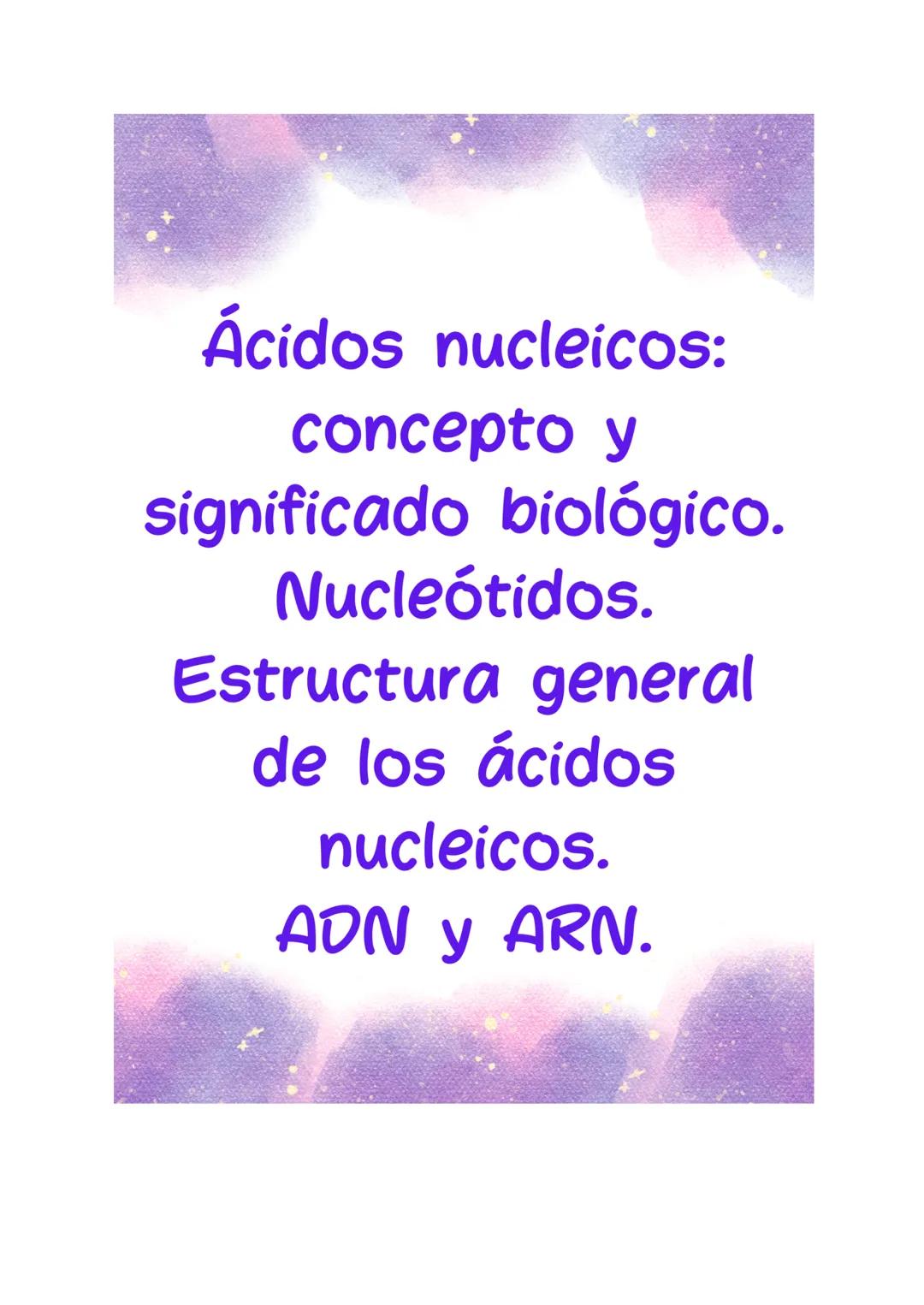 Ácidos nucleicos: Importancia biológica, estructura y diferencias entre ADN y ARN