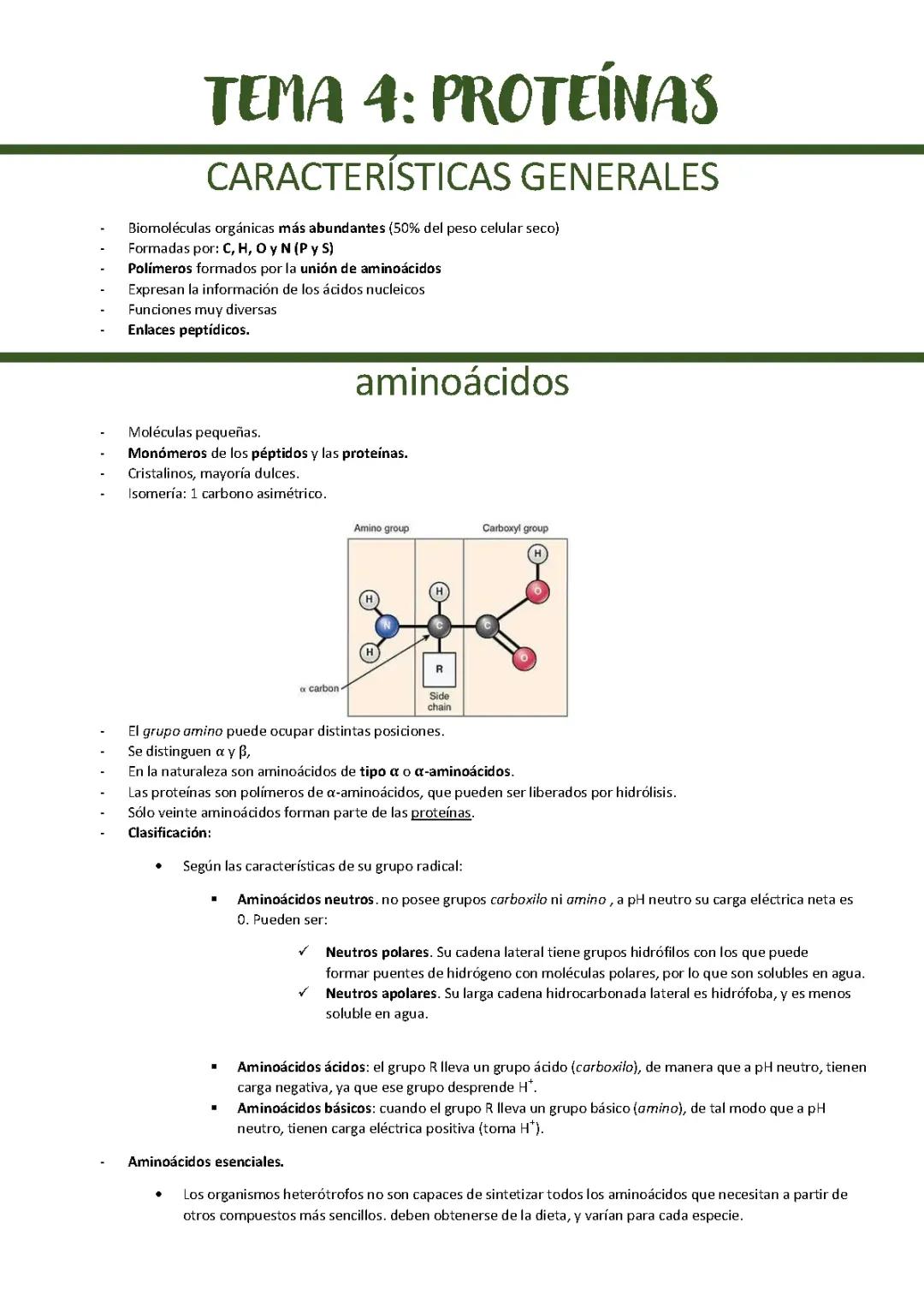 Tema 4: Las Importantes Proteínas en Nuestro Cuerpo