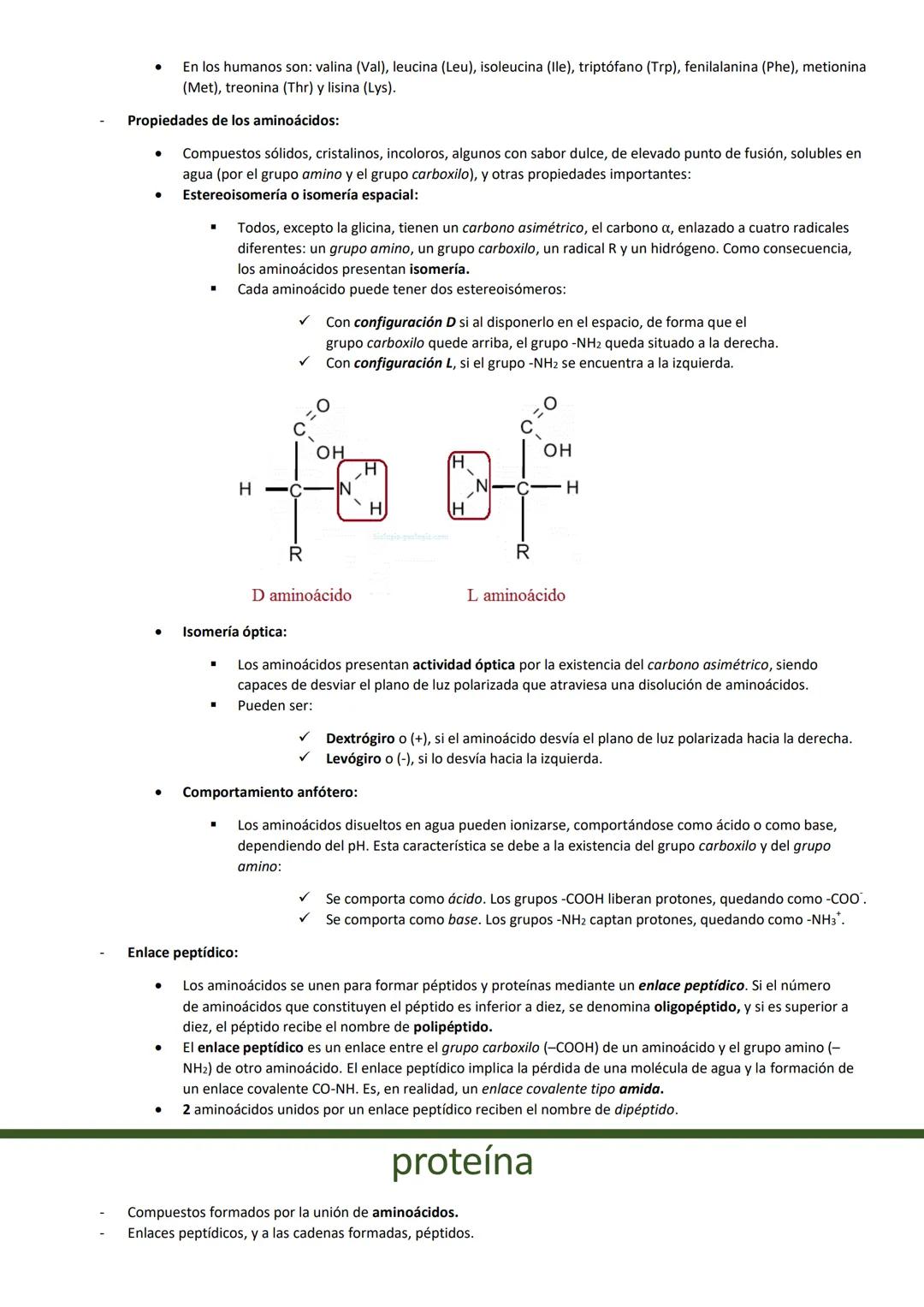 TEMA 4: PROTEÍNAS
CARACTERÍSTICAS GENERALES
Biomoléculas orgánicas más abundantes (50% del peso celular seco)
Formadas por: C, H, O y N (P y