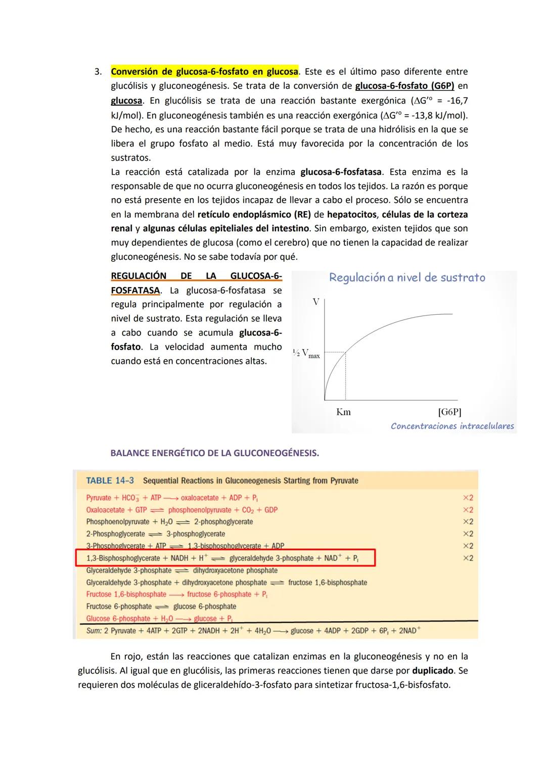 TEMA 7. GLUCONEOGÉNESIS Y SU REGULACIÓN
1. INTRODUCCIÓN A LA SÍNTESIS DE GLUCOSA.
La cantidad de glucosa que los tejidos tienen es destinada