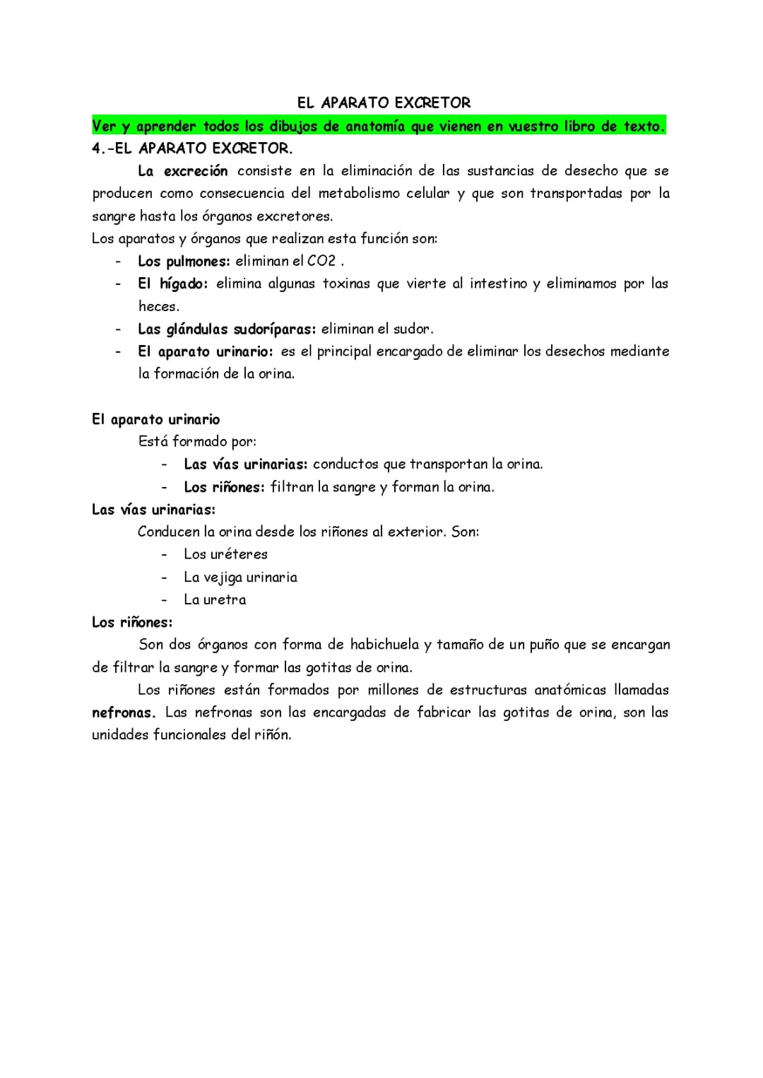 EL APARATO EXCRETOR