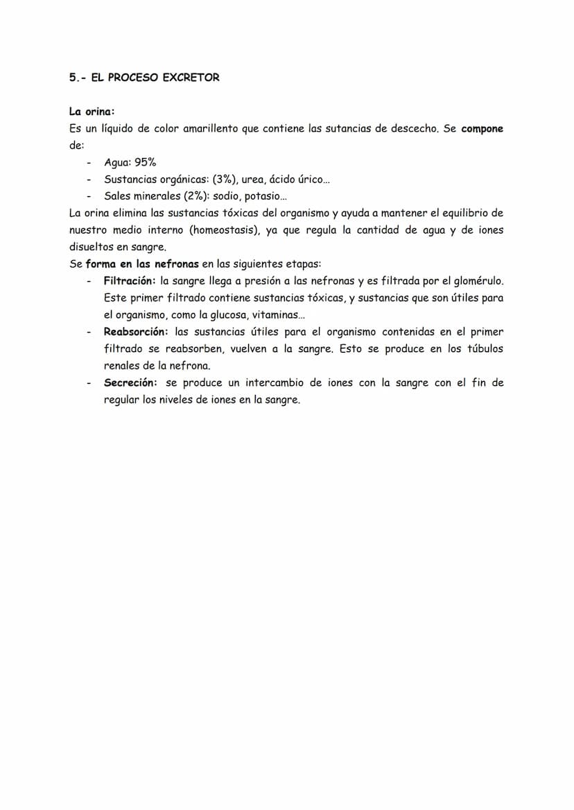 EL APARATO EXCRETOR
Ver y aprender todos los dibujos de anatomía que vienen en vuestro libro de texto.
4.-EL APARATO EXCRETOR.
La excreción 