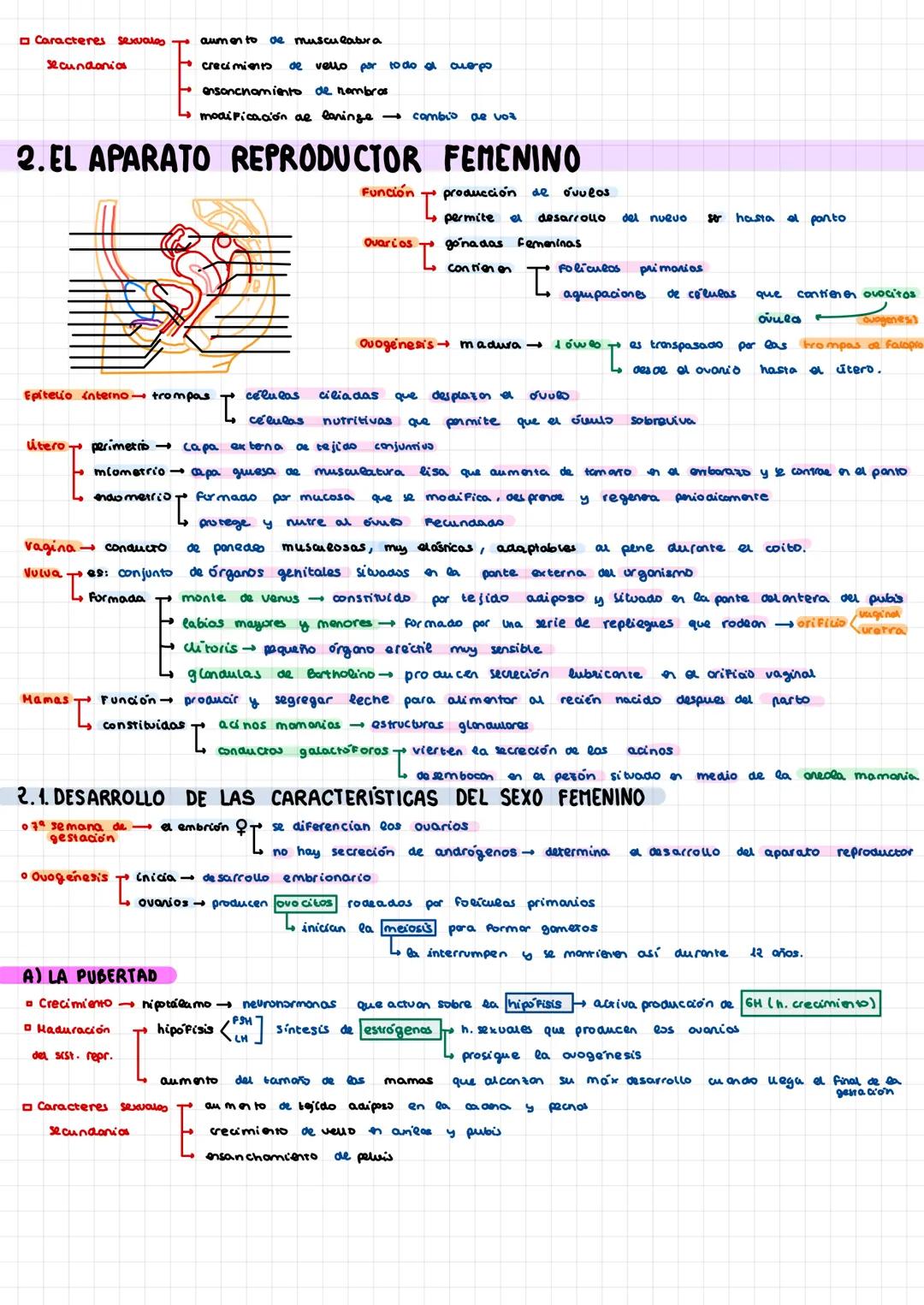  4. REPRODUCCIÓN ALTERANTE

• Abejas
viven en sociedad

colonia/enjambre consta
una reina que es la nembra reproductora lan
miles da obreras