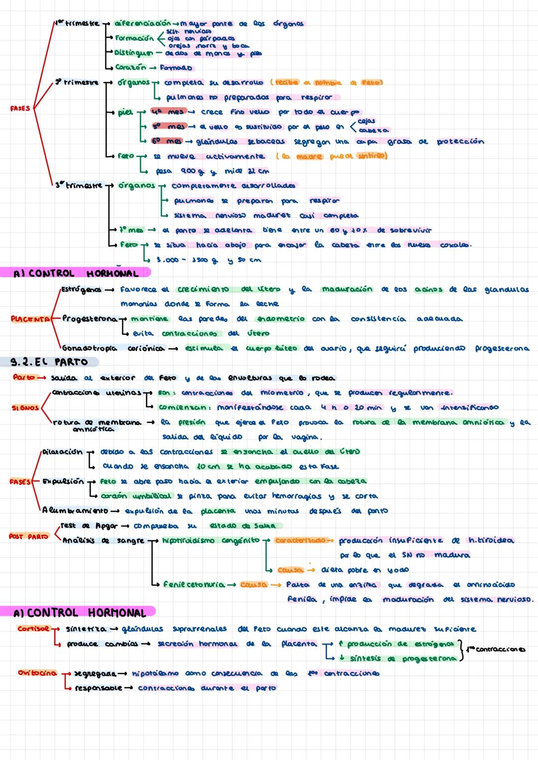  4. REPRODUCCIÓN ALTERANTE

• Abejas
viven en sociedad

colonia/enjambre consta
una reina que es la nembra reproductora lan
miles da obreras