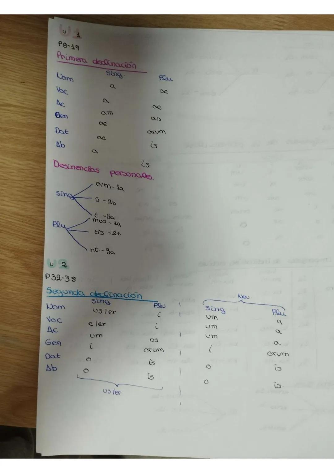 P8-19
# Primera declinación
|      | sing | Plu |
|------|------|-----|
| Com  | a    | 08  |
| Voc  | a    | 08  |
| Ac   | am   | 08  |
| 