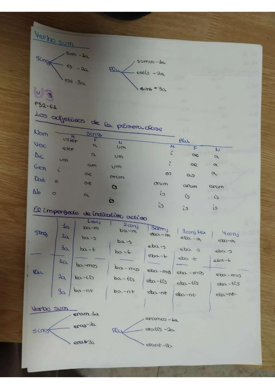 P8-19
# Primera declinación
|      | sing | Plu |
|------|------|-----|
| Com  | a    | 08  |
| Voc  | a    | 08  |
| Ac   | am   | 08  |
| 