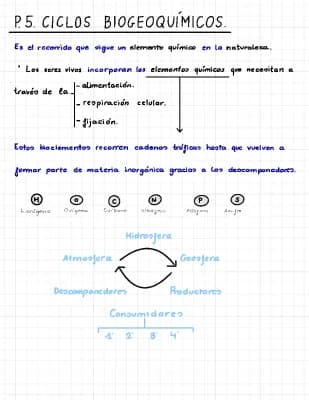 Know CICLOS BIOGEOQUIMICOS thumbnail