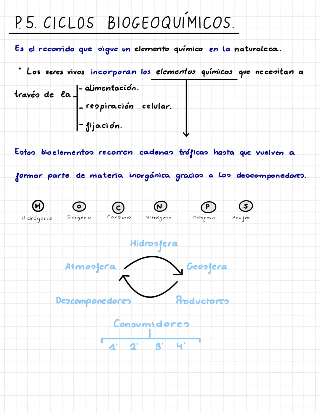 P. 5. CICLOS BIOGEOQUÍMICOS.
Es el recorrido que sigue un elemento químico en la naturaleza.
Los seres vivos incorporan los elementos químic