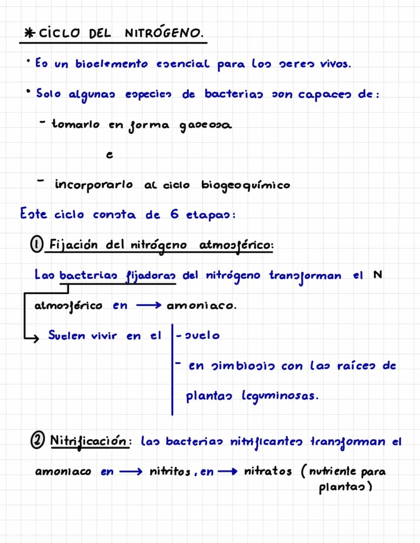 P. 5. CICLOS BIOGEOQUÍMICOS.
Es el recorrido que sigue un elemento químico en la naturaleza.
Los seres vivos incorporan los elementos químic