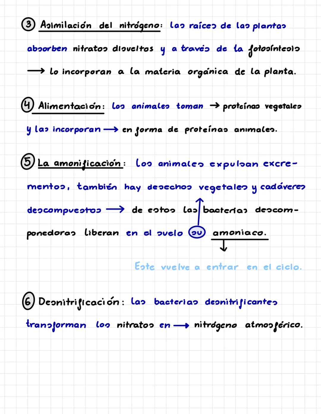 P. 5. CICLOS BIOGEOQUÍMICOS.
Es el recorrido que sigue un elemento químico en la naturaleza.
Los seres vivos incorporan los elementos químic