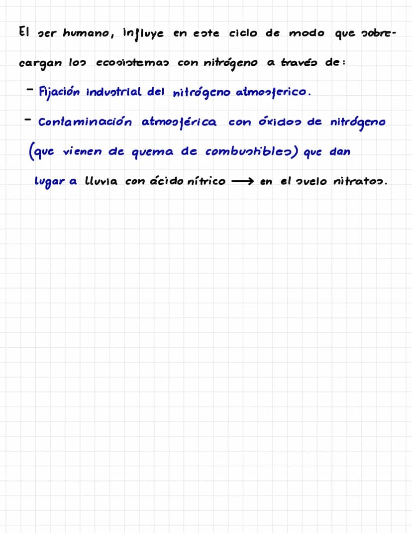 P. 5. CICLOS BIOGEOQUÍMICOS.
Es el recorrido que sigue un elemento químico en la naturaleza.
Los seres vivos incorporan los elementos químic