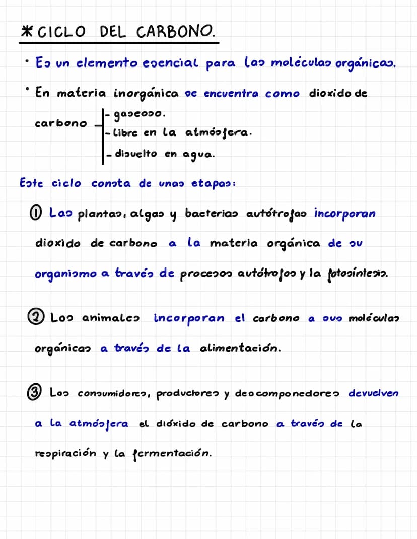 P. 5. CICLOS BIOGEOQUÍMICOS.
Es el recorrido que sigue un elemento químico en la naturaleza.
Los seres vivos incorporan los elementos químic