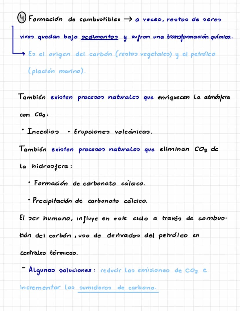 P. 5. CICLOS BIOGEOQUÍMICOS.
Es el recorrido que sigue un elemento químico en la naturaleza.
Los seres vivos incorporan los elementos químic