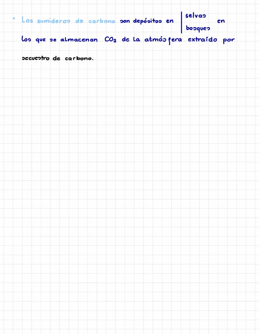 P. 5. CICLOS BIOGEOQUÍMICOS.
Es el recorrido que sigue un elemento químico en la naturaleza.
Los seres vivos incorporan los elementos químic