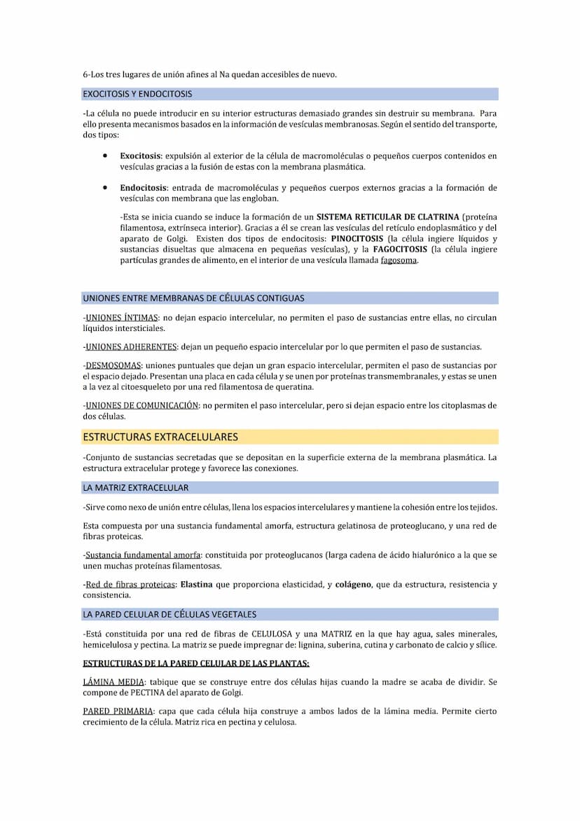 LA MEMBRANA PLASMÁTICA
-La membrana plasmática es una fina película (75) que delimita la célula y la separa del medio externo. Es
fácilmente