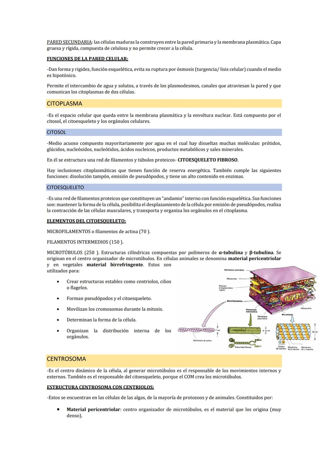 LA MEMBRANA PLASMÁTICA
-La membrana plasmática es una fina película (75) que delimita la célula y la separa del medio externo. Es
fácilmente