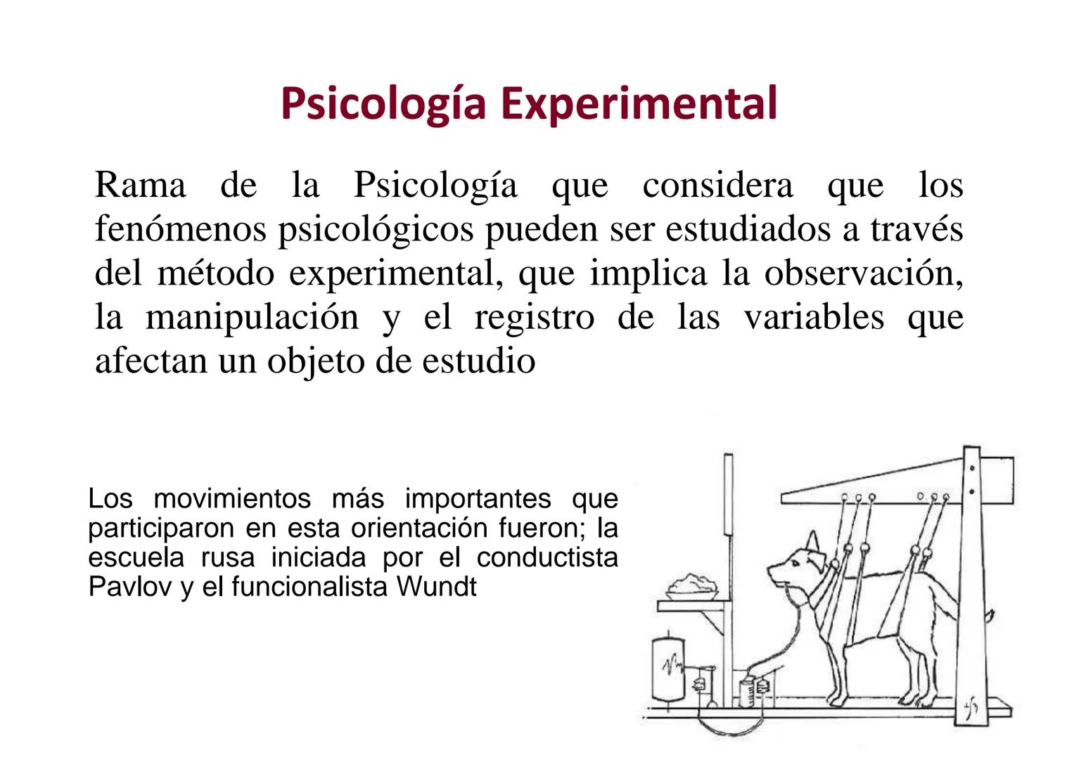 UNIVERSIDAD
DAD NACIONAL D
PERU
UNIVERSIDAD NACIONAL DE PIURA
FACULTAD DE CIENCIAS SOCIALES Y EDUCACIÓN
UNIVERSIDAD
S PLURA
CS
1984
CURSO: P