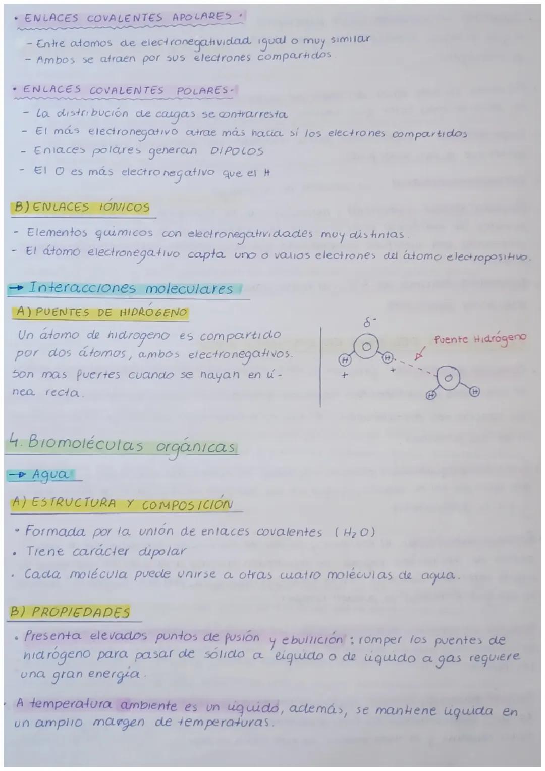 # TEMA 1 Bioelementos y biomoléculas inorgánicas

A Caracteristicas y organización de los seres vivos

→caracterizados por

• Unidad de comp