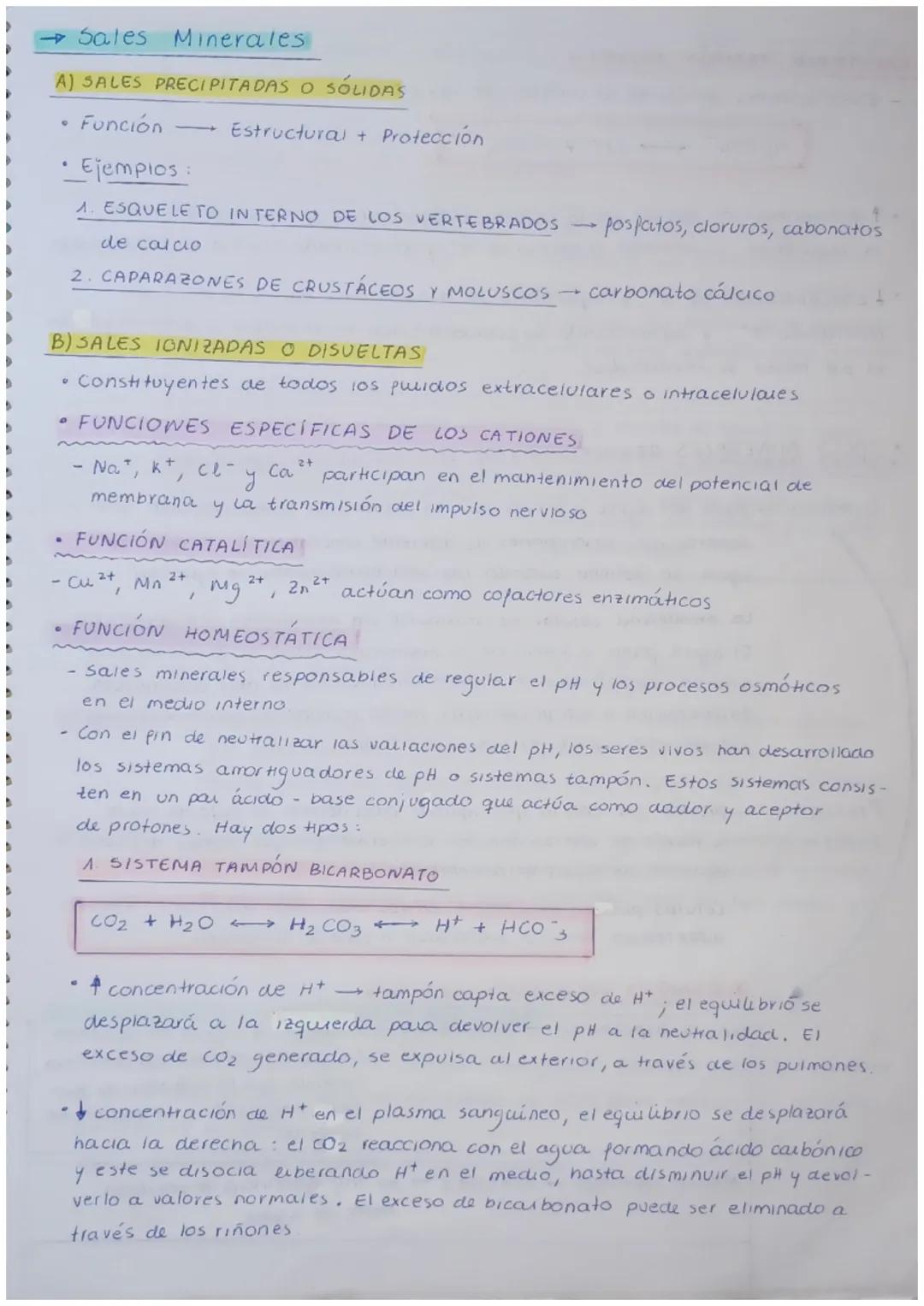 # TEMA 1 Bioelementos y biomoléculas inorgánicas

A Caracteristicas y organización de los seres vivos

→caracterizados por

• Unidad de comp