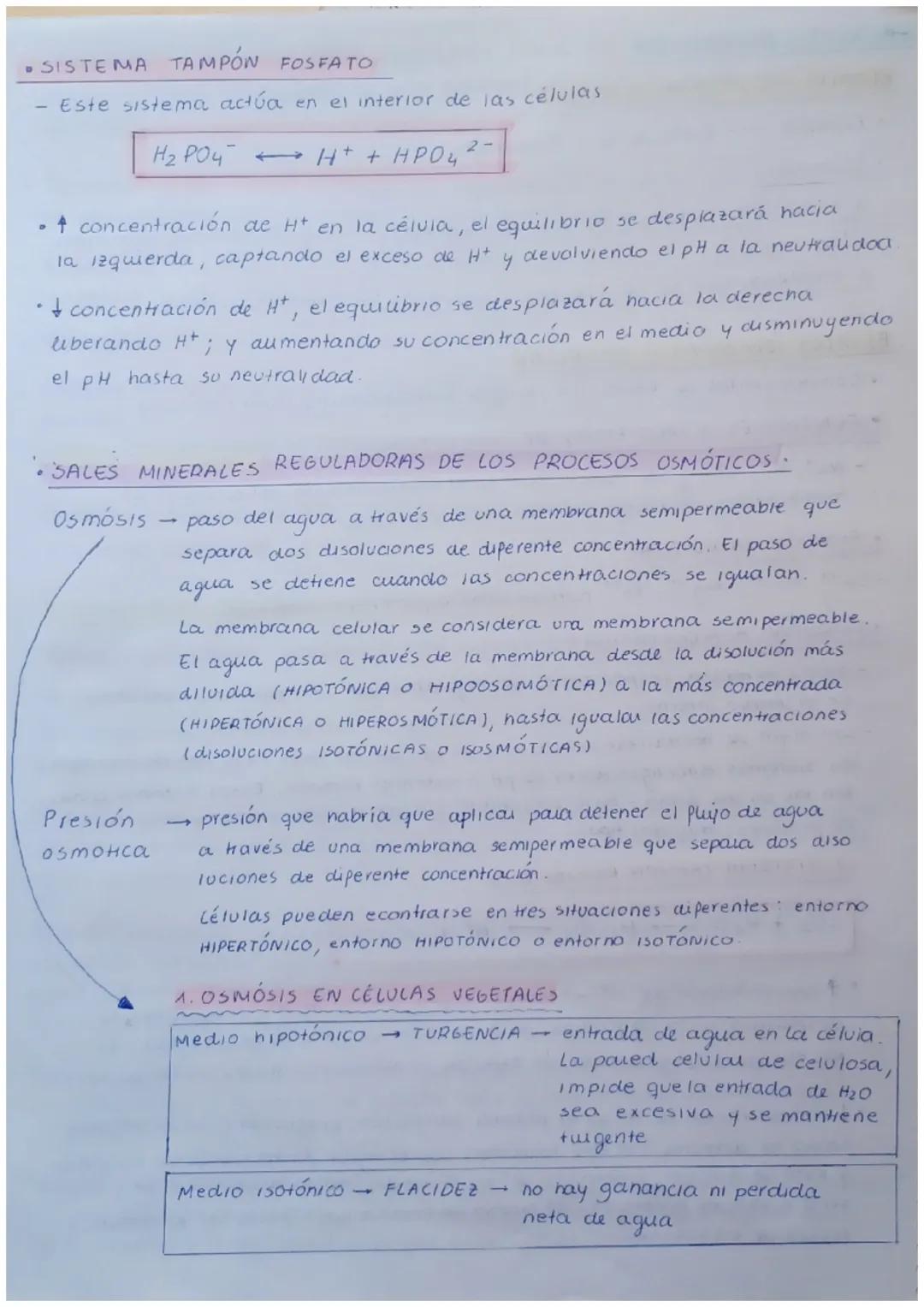 # TEMA 1 Bioelementos y biomoléculas inorgánicas

A Caracteristicas y organización de los seres vivos

→caracterizados por

• Unidad de comp