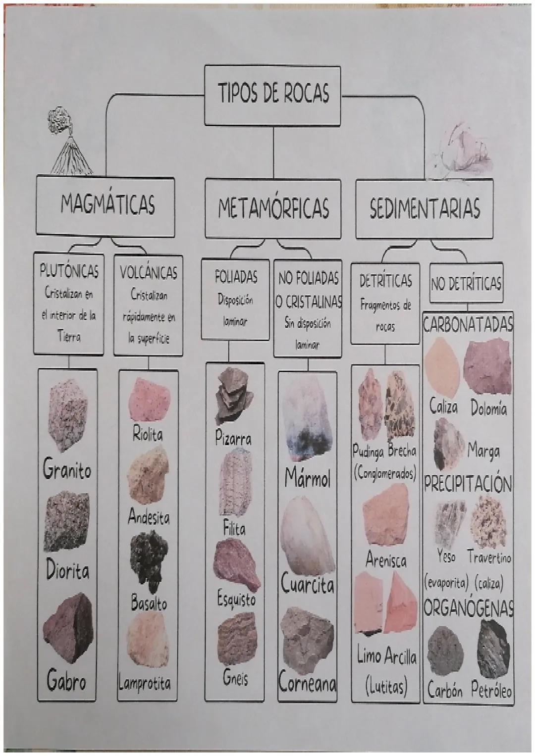 MAGMÁTICAS
PLUTÓNICAS
Cristalizan en
el interior de la
Tierra
Granito
Diorita
Gabro
VOLCÁNICAS
Cristalizan
rápidamente en
la superficie
Riol