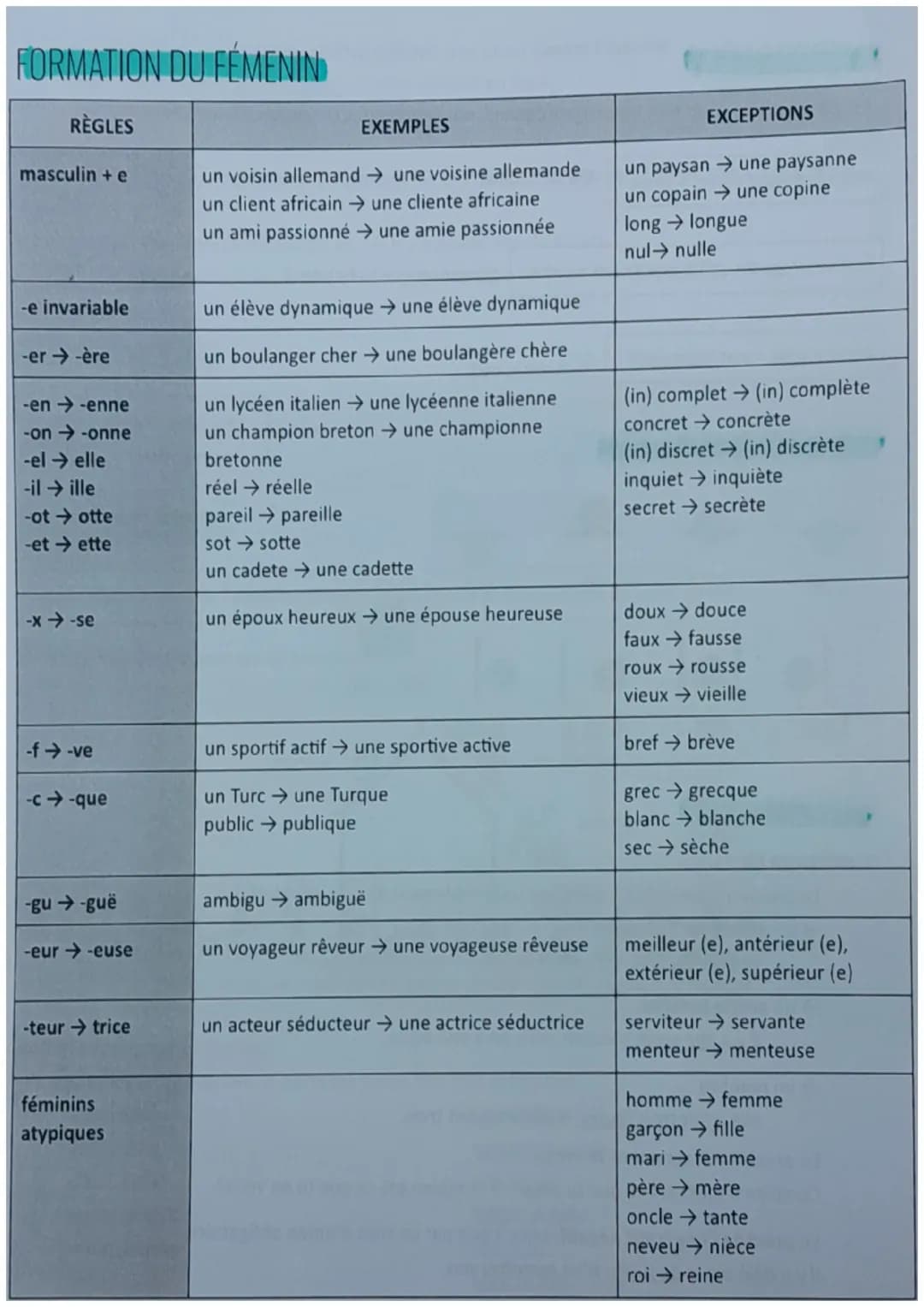 
<h2 id="vocabulairedelafamilleenfranais">Vocabulaire de la famille en français</h2>
<p><em>Les membres de la famille</em></p>
<p>Beau-père: