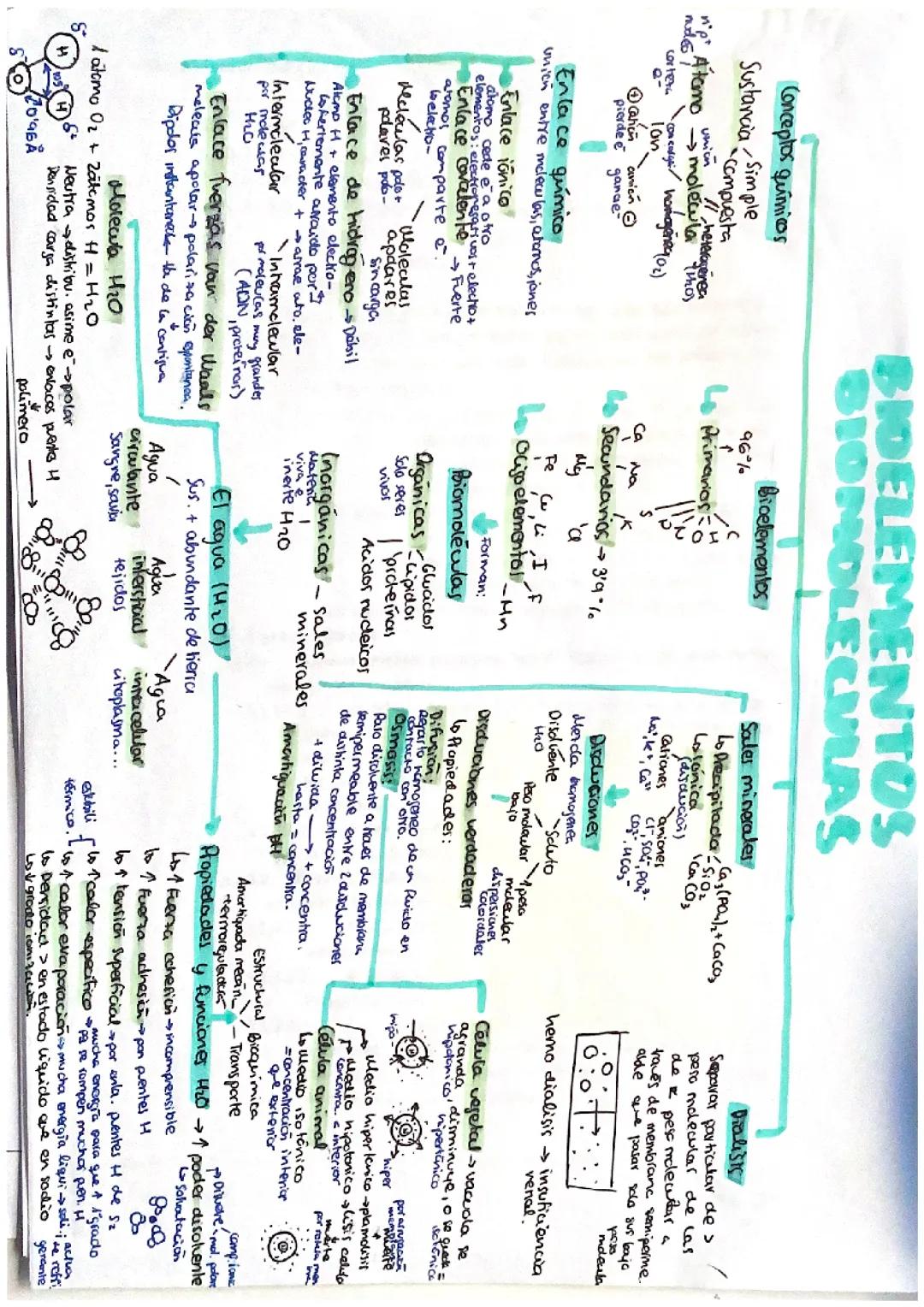 Bioelementos y Biomoléculas para Selectividad